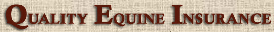 Horse Trailer Insurance Coverage